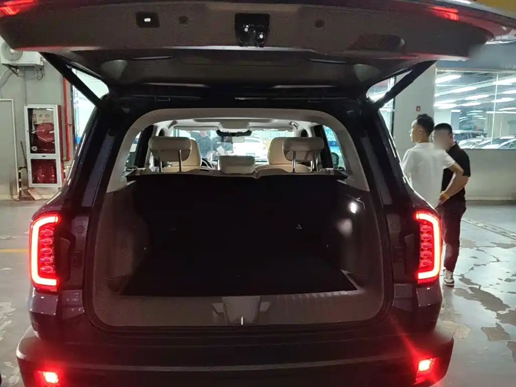 Haval Big Dog — миниатюра 19