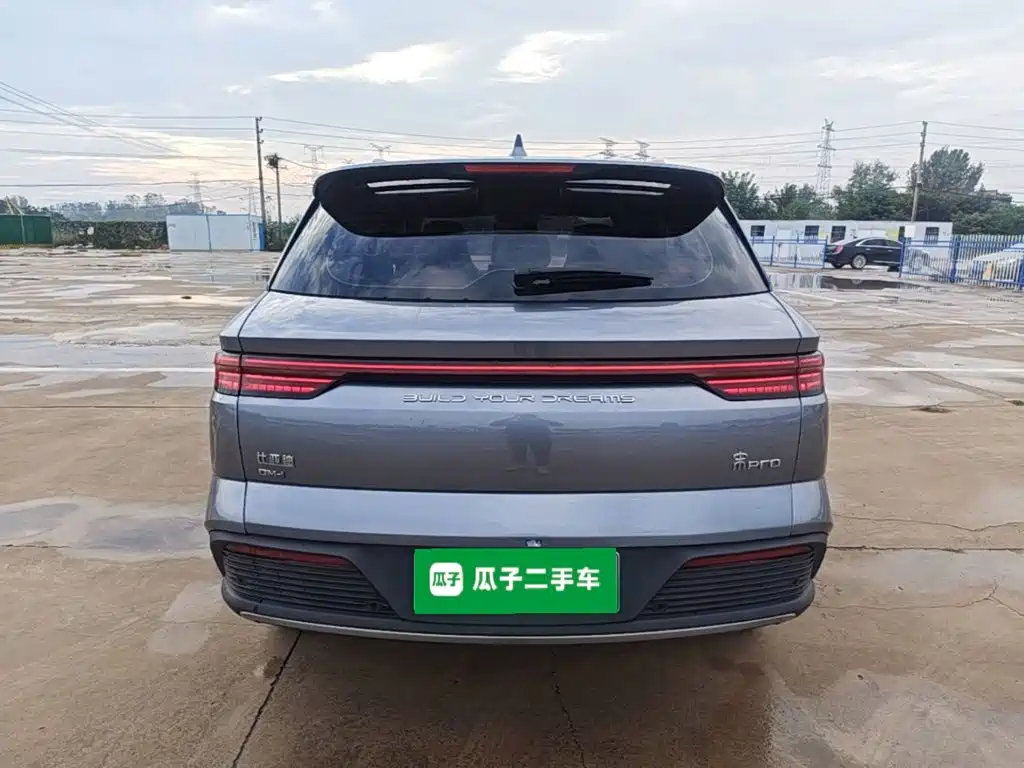 BYD Pro New Energy — миниатюра 6