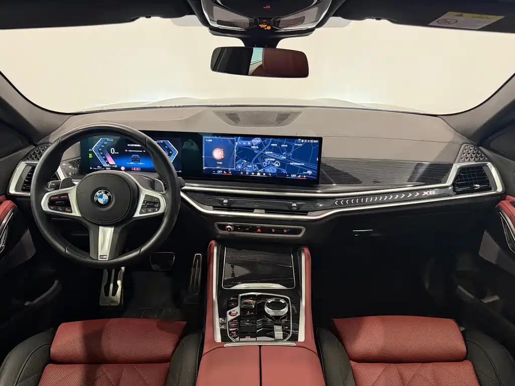 BMW X6 — миниатюра 8