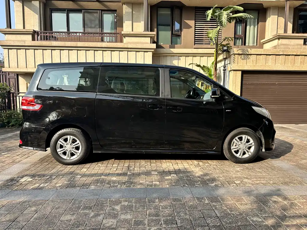 SAIC MAXUS CHASE G10