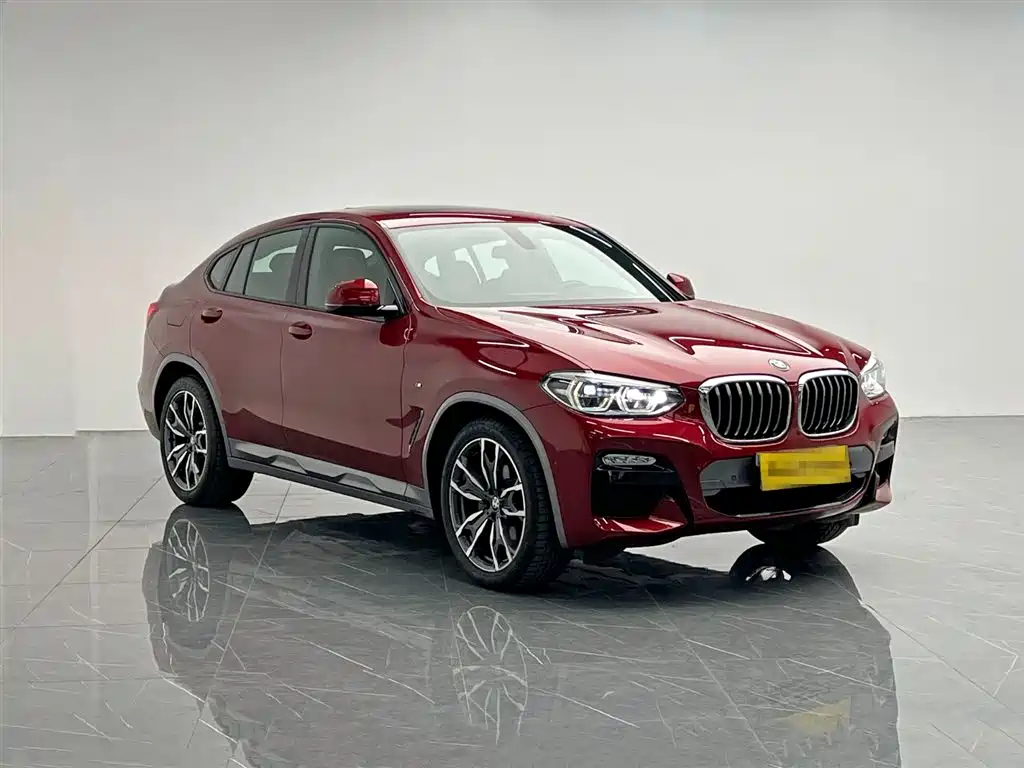BMW X4 2019 xDrive25i M
