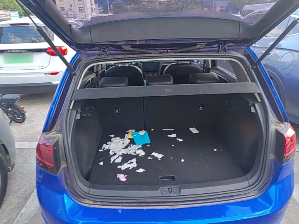 Volkswagen Golf — миниатюра 19
