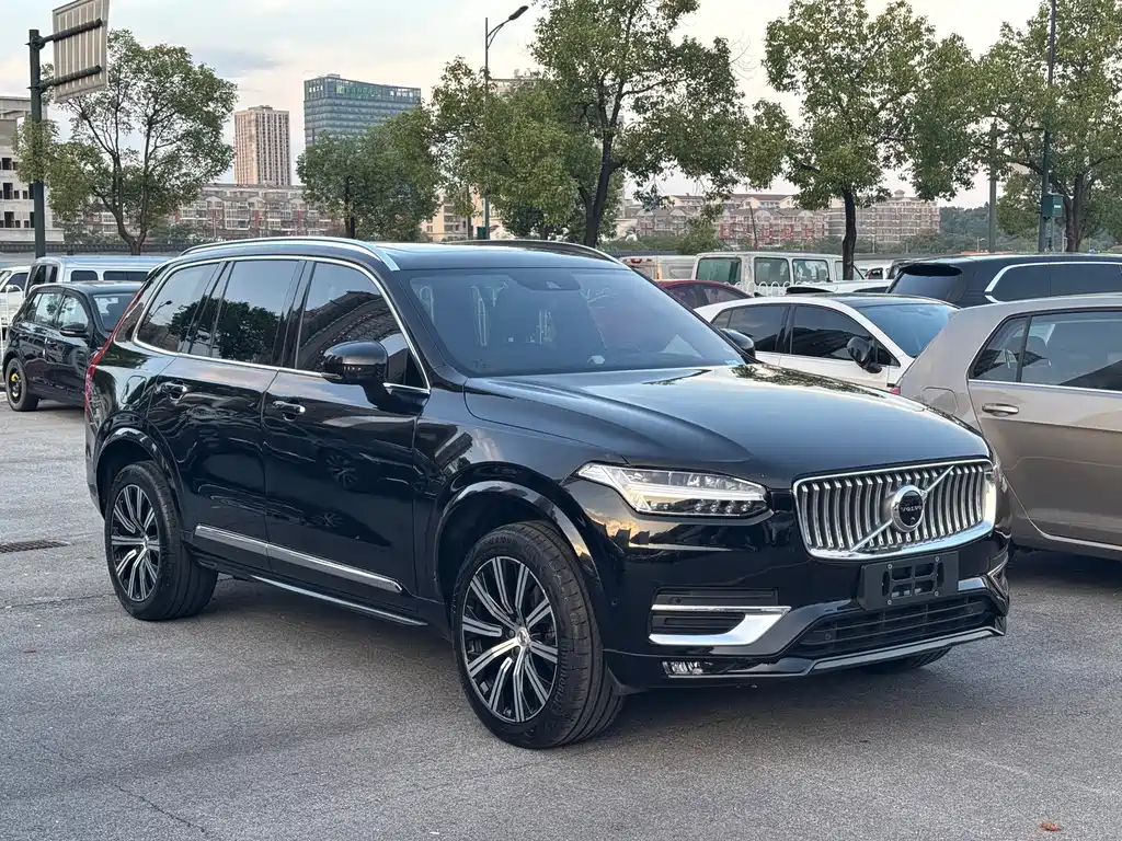 Volvo XC90 — миниатюра 3