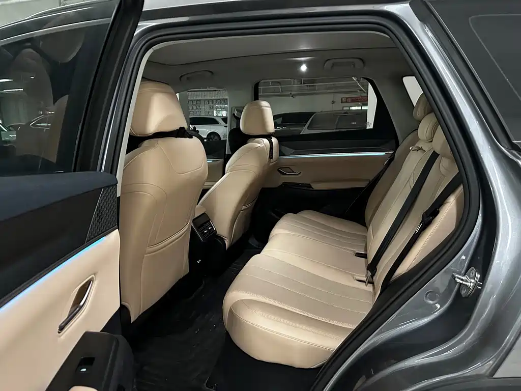 BYD Pro New Energy — миниатюра 6