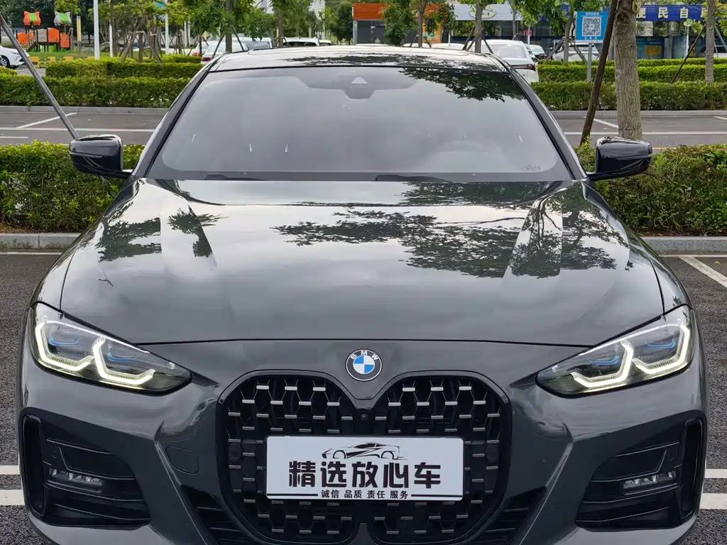 BMW 4 Series — миниатюра 2
