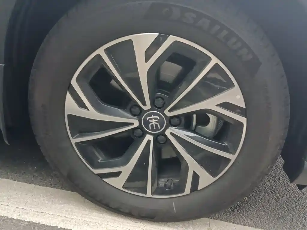 BYD Pro New Energy — миниатюра 8