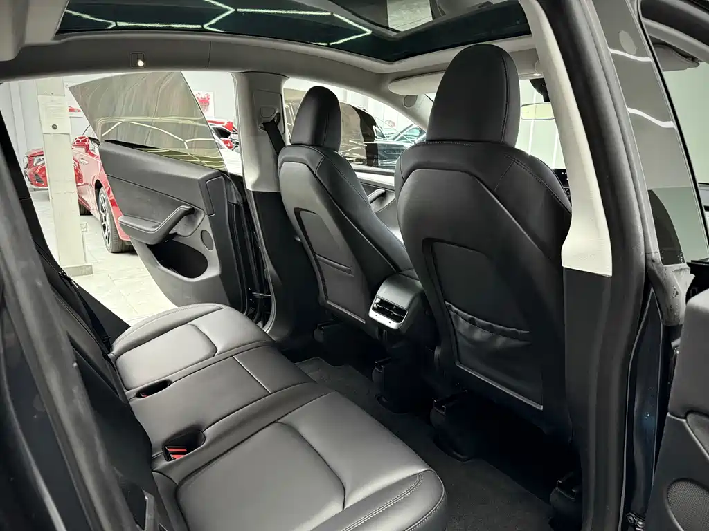 Tesla Model Y — миниатюра 10