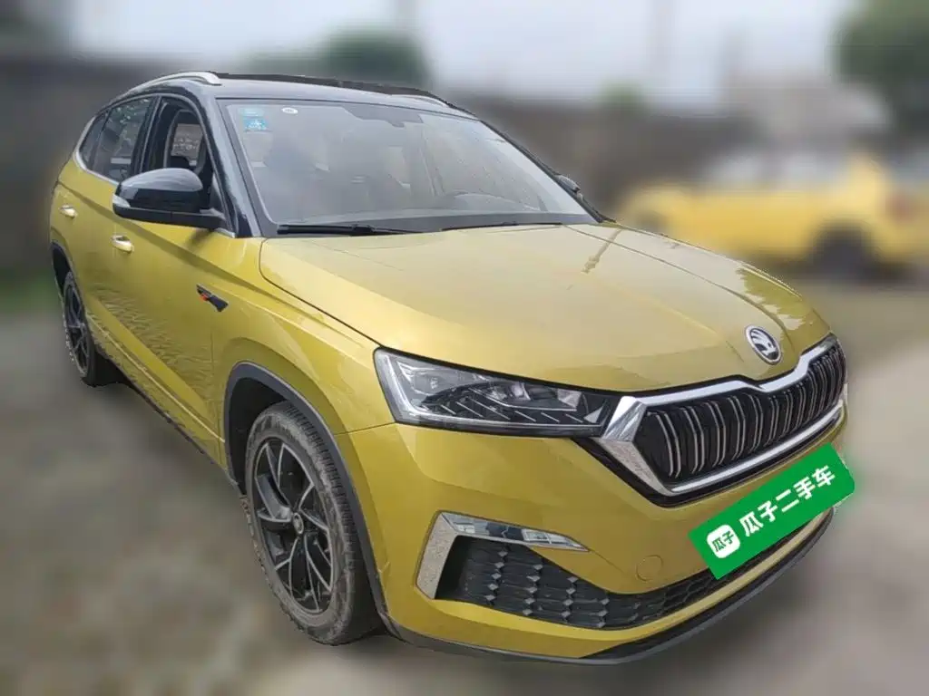 Skoda Kamiq — миниатюра 6