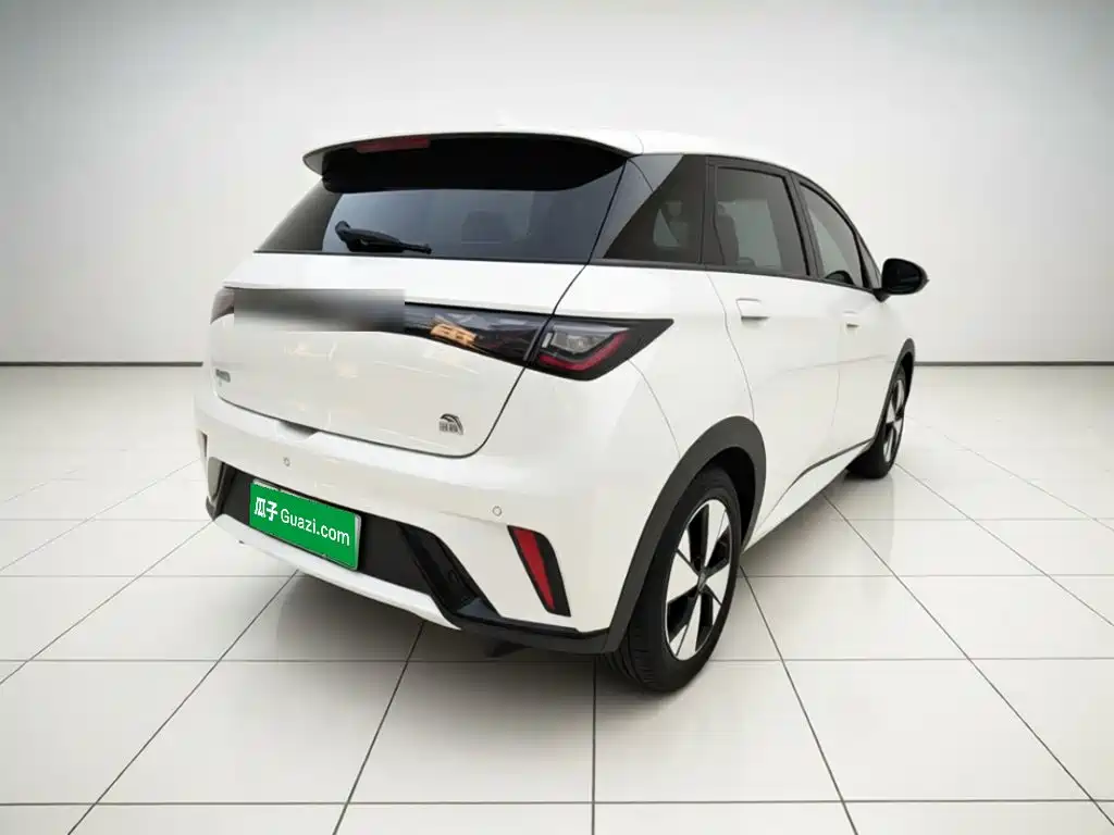 BYD Dolphin — миниатюра 6