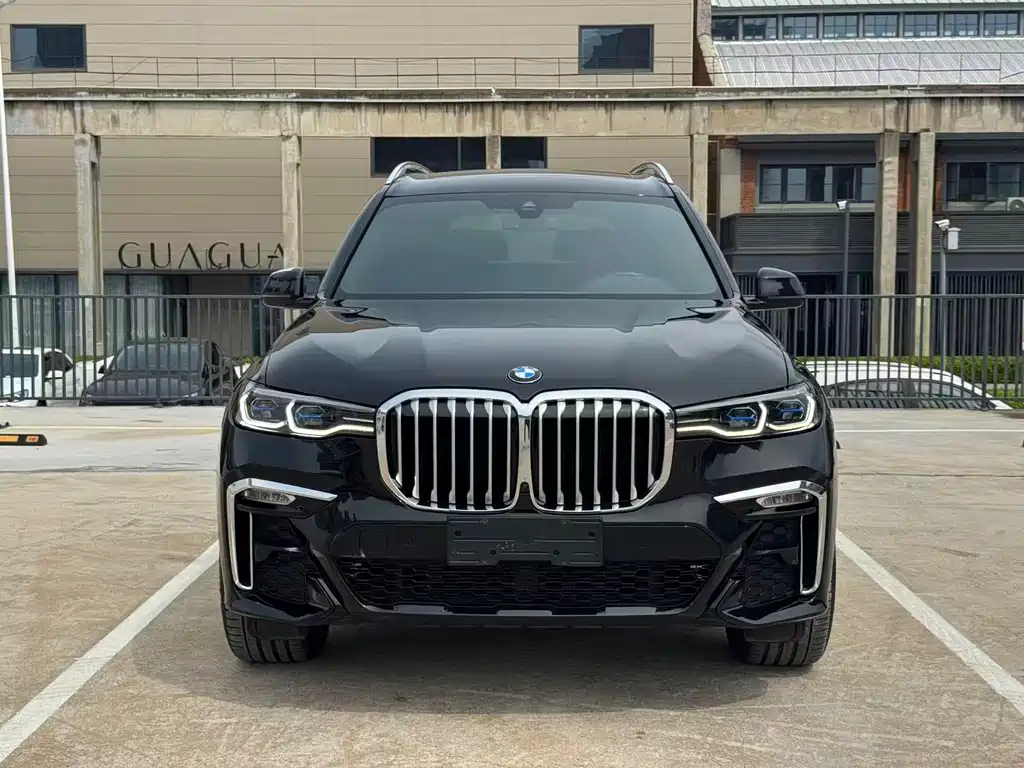 BMW X7 — миниатюра 2