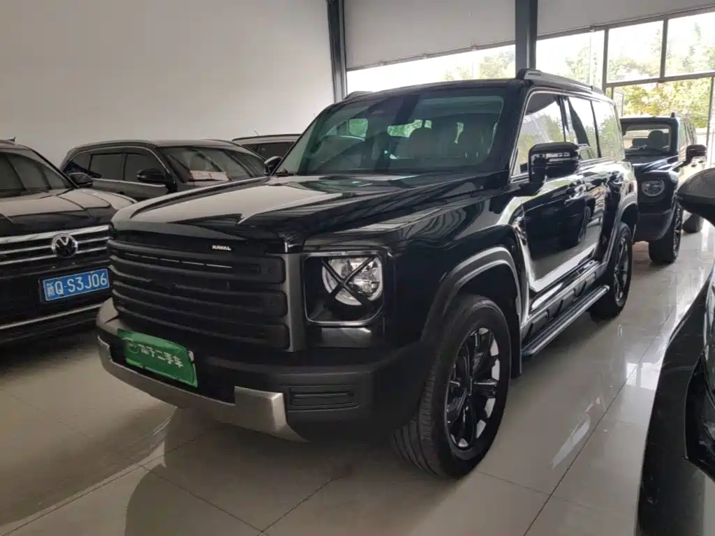 Haval Menglong New Energy — миниатюра 2
