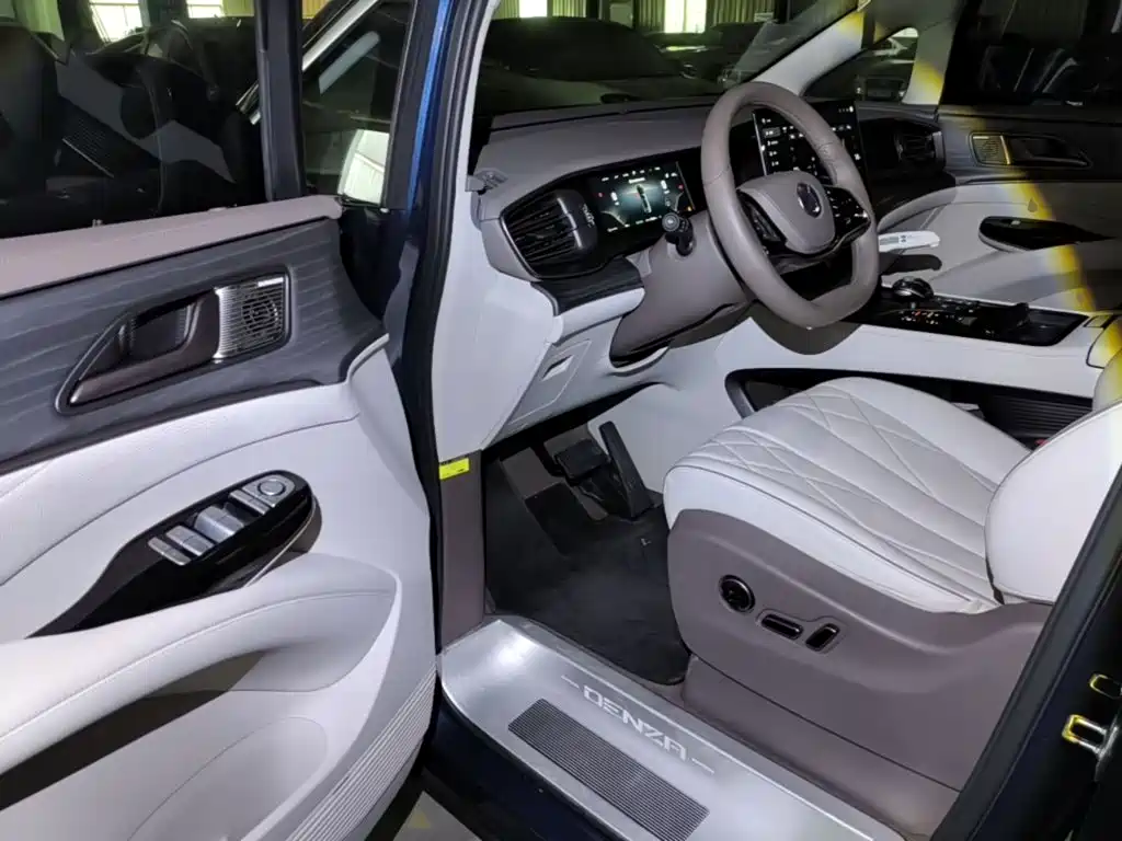 Denza Denza D9 — миниатюра 16