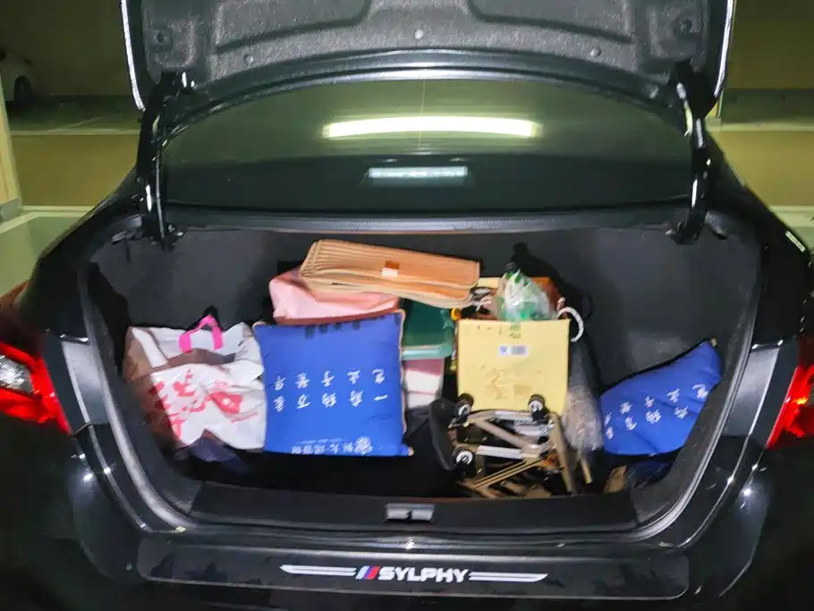Nissan Sylphy — миниатюра 4