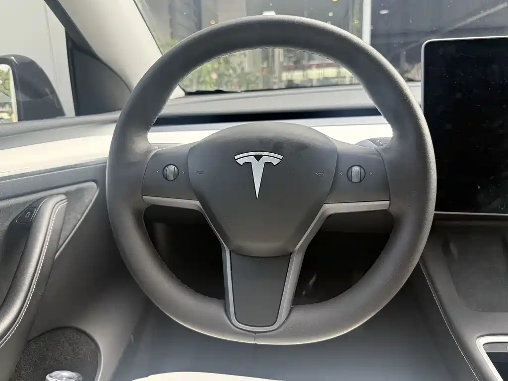 Tesla Model Y — миниатюра 10