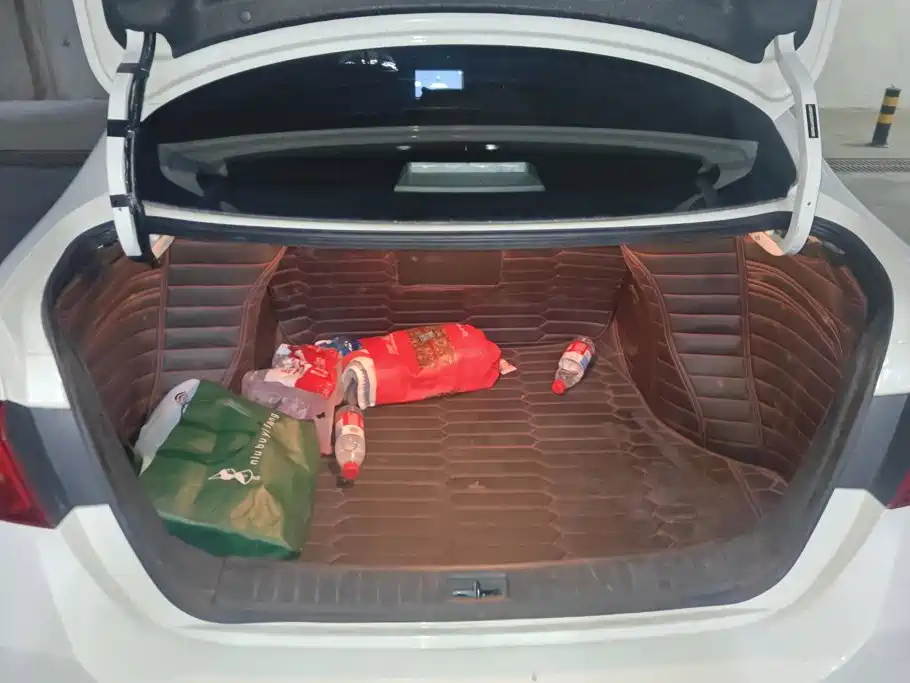 Nissan Sylphy — миниатюра 4