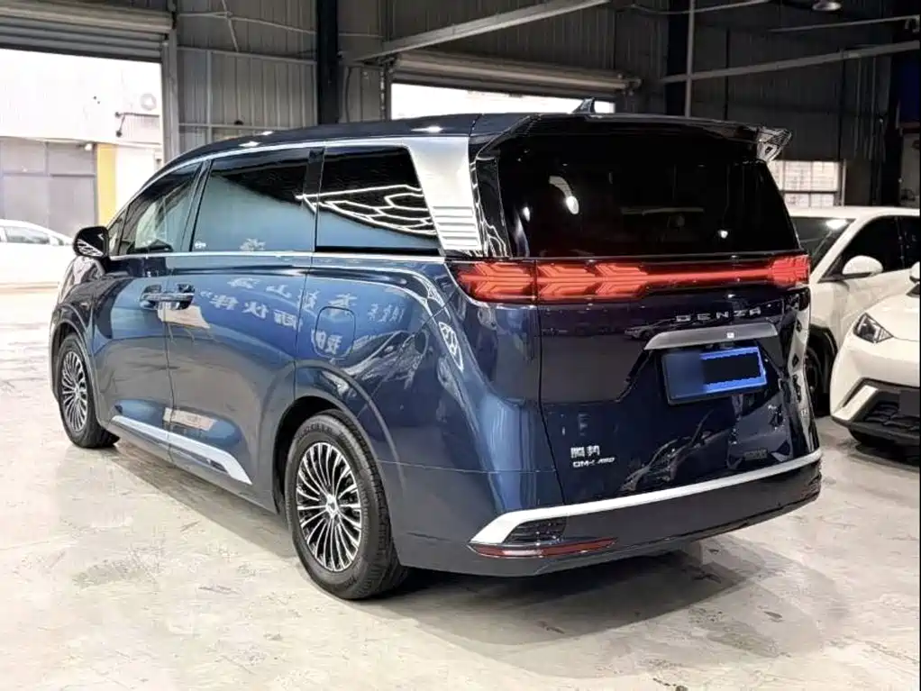 Denza Denza D9 — миниатюра 5
