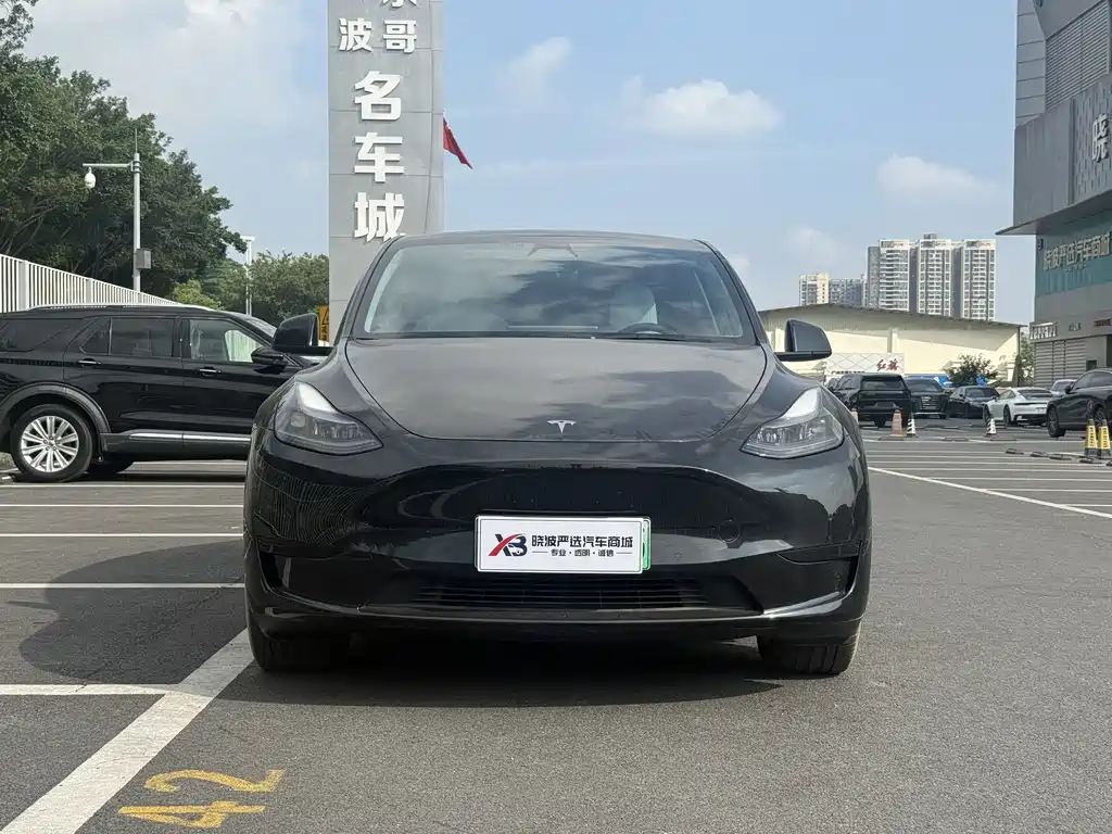 Tesla Model Y — миниатюра 15