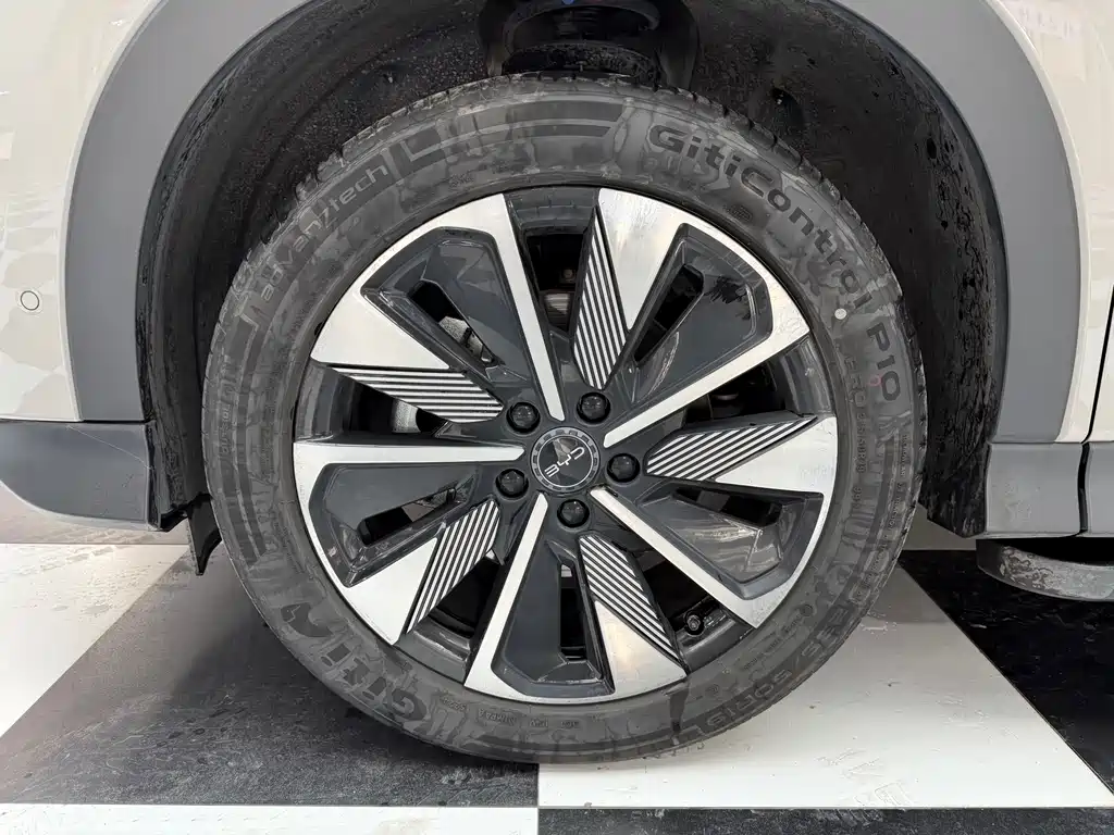 BYD SONGJIANG NEW ENERGY