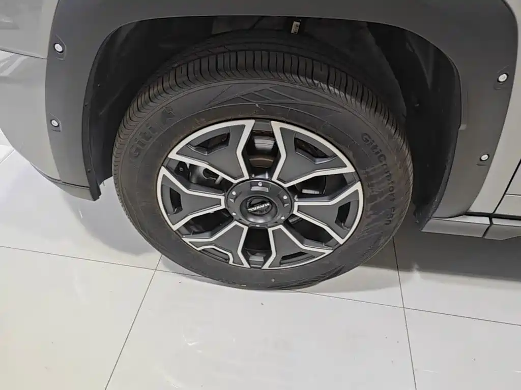 Haval Big Dog PLUS New Energy — миниатюра 23
