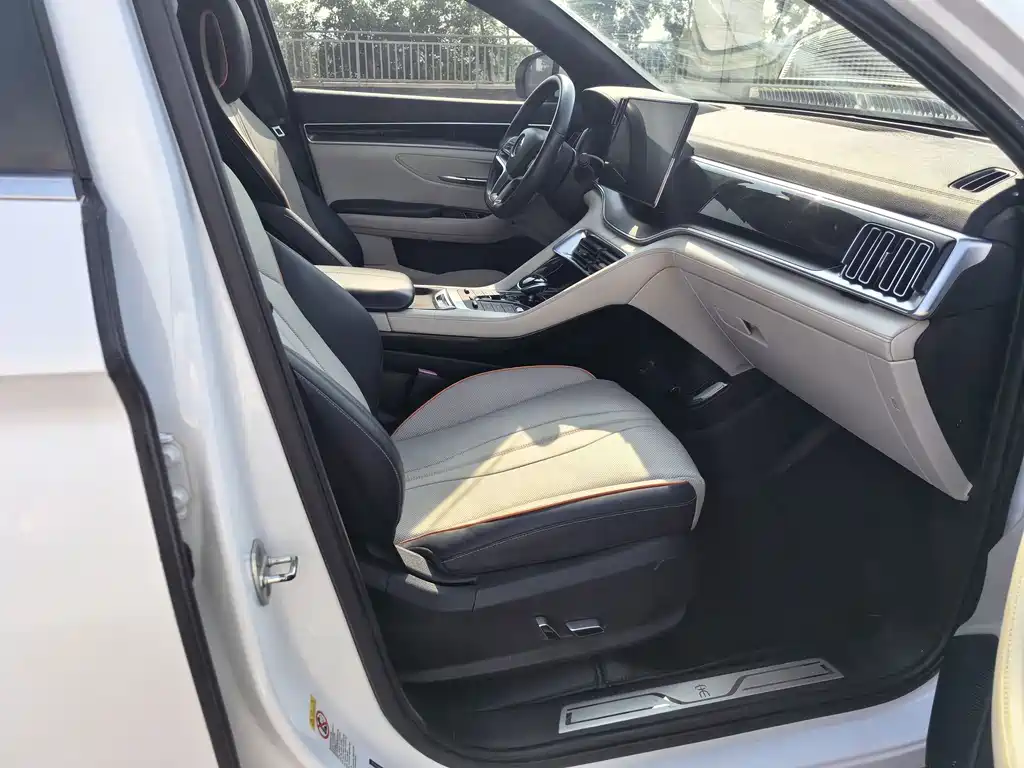 BYD PLUS New Energy — миниатюра 14