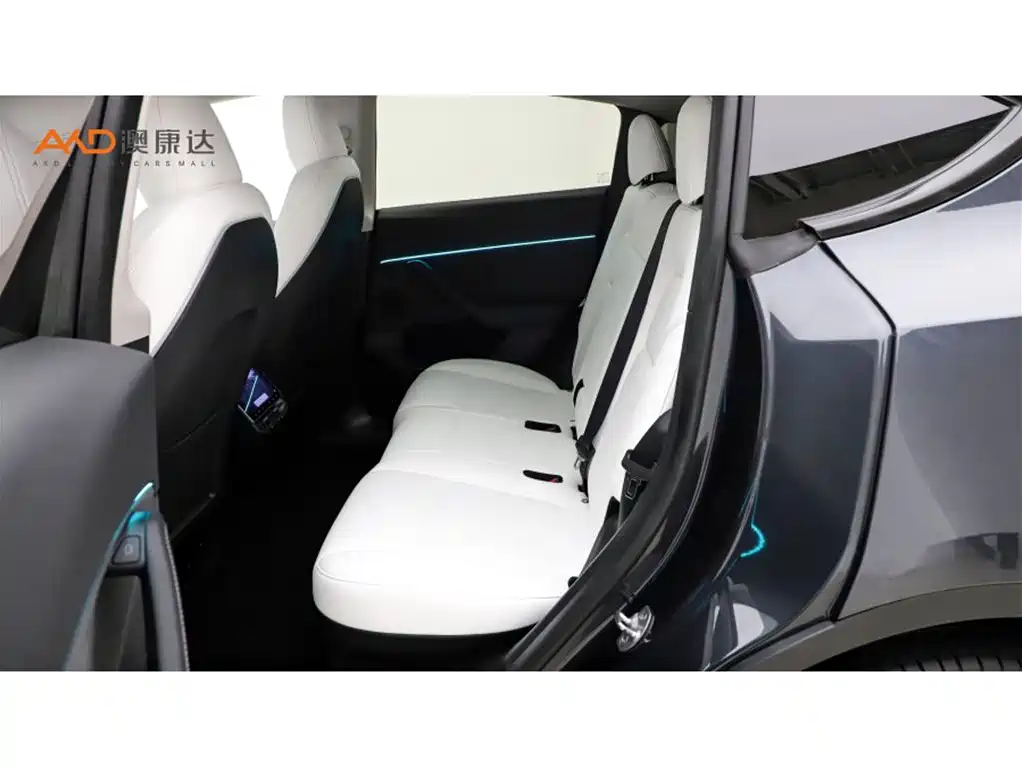 Tesla Model Y — миниатюра 7