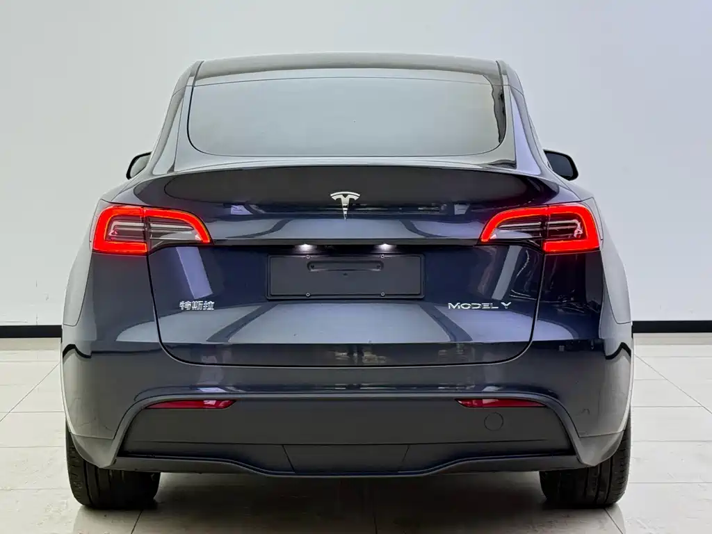 Tesla Model Y — миниатюра 11