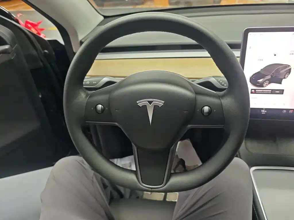 Tesla Model Y — миниатюра 11