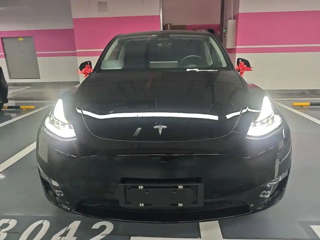 Tesla Model Y — миниатюра 3