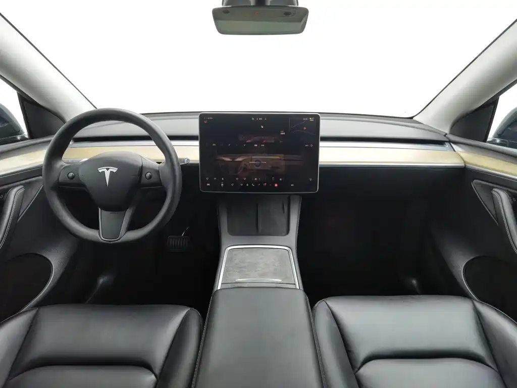Tesla Model Y — миниатюра 5