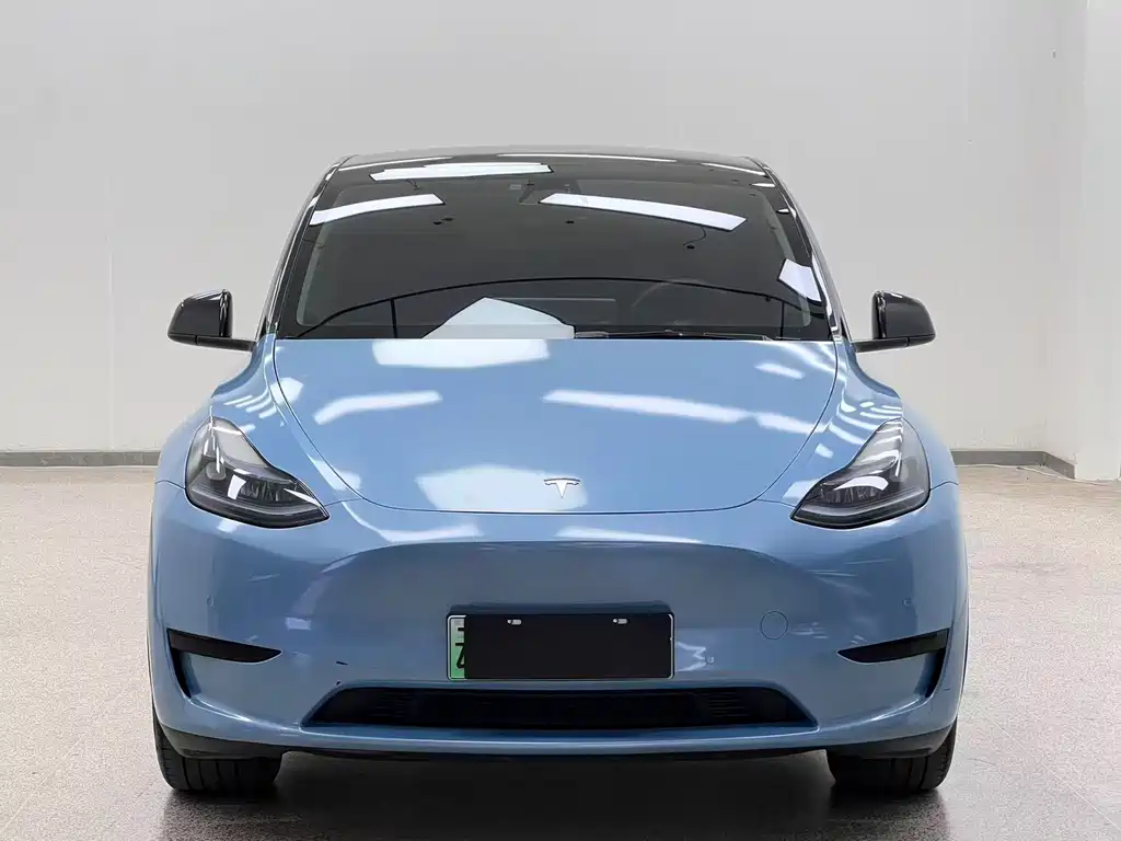 Tesla Model Y — миниатюра 2