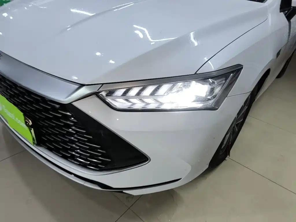 BYD Qin Plus PLUS 2023 Champion DM-i 55KM Lead