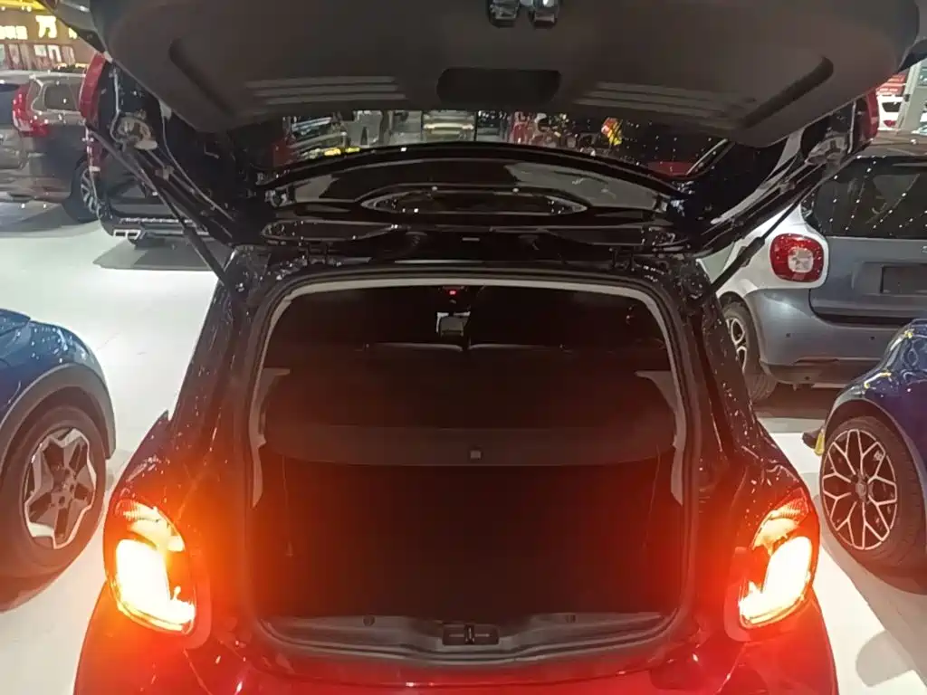 smart Smart Forfour — миниатюра 19