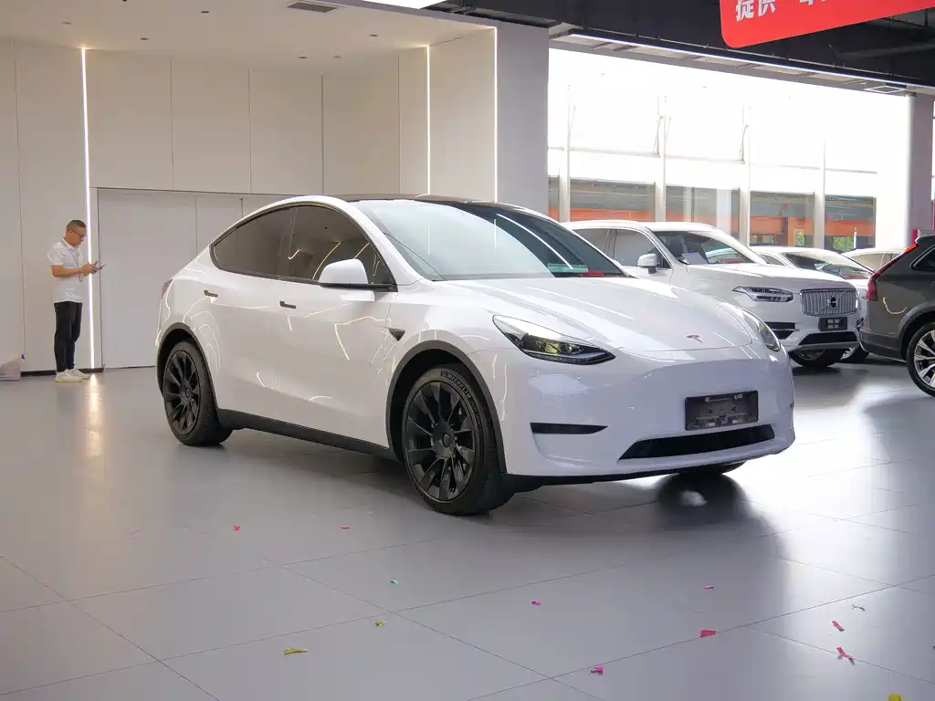 Tesla Model Y — миниатюра 3