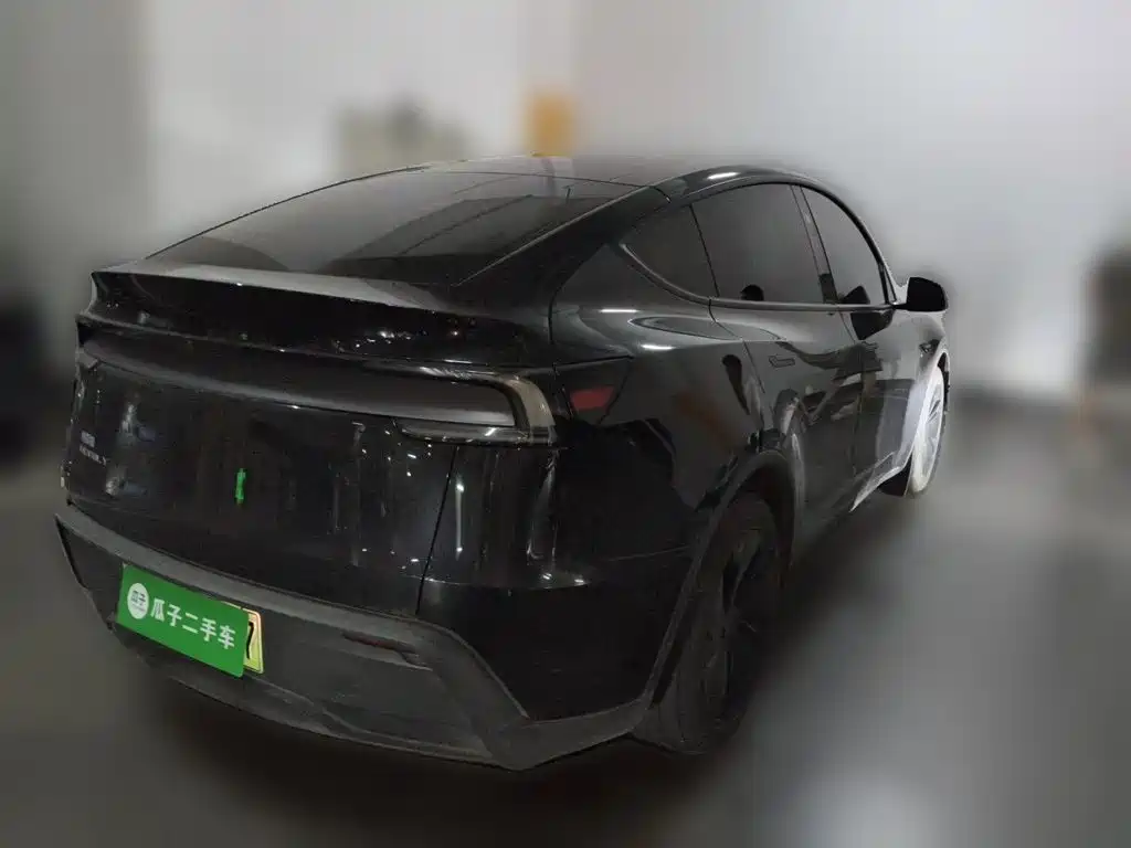 Tesla Model Y — миниатюра 4
