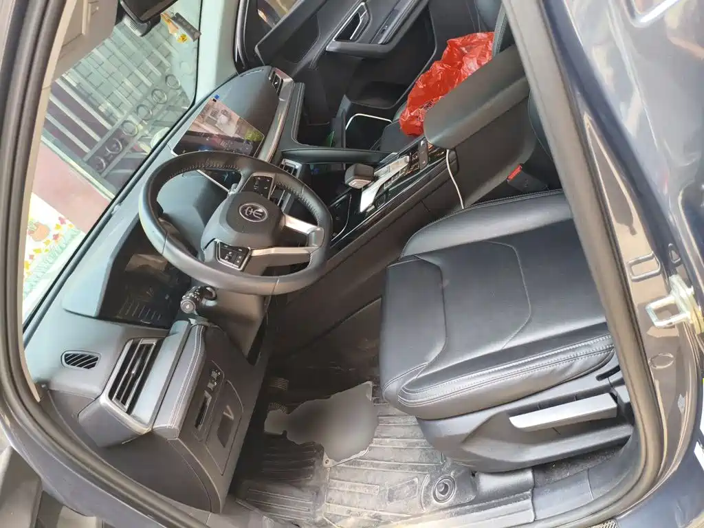 BYD Pro — миниатюра 11