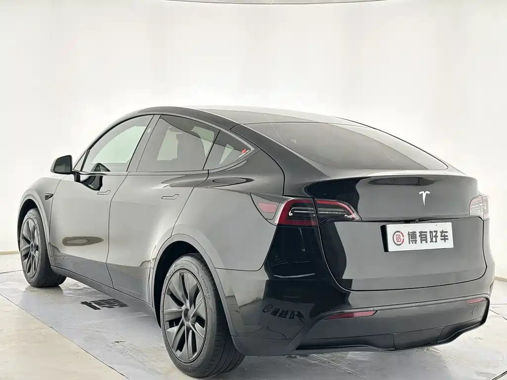 Tesla Model Y — миниатюра 11