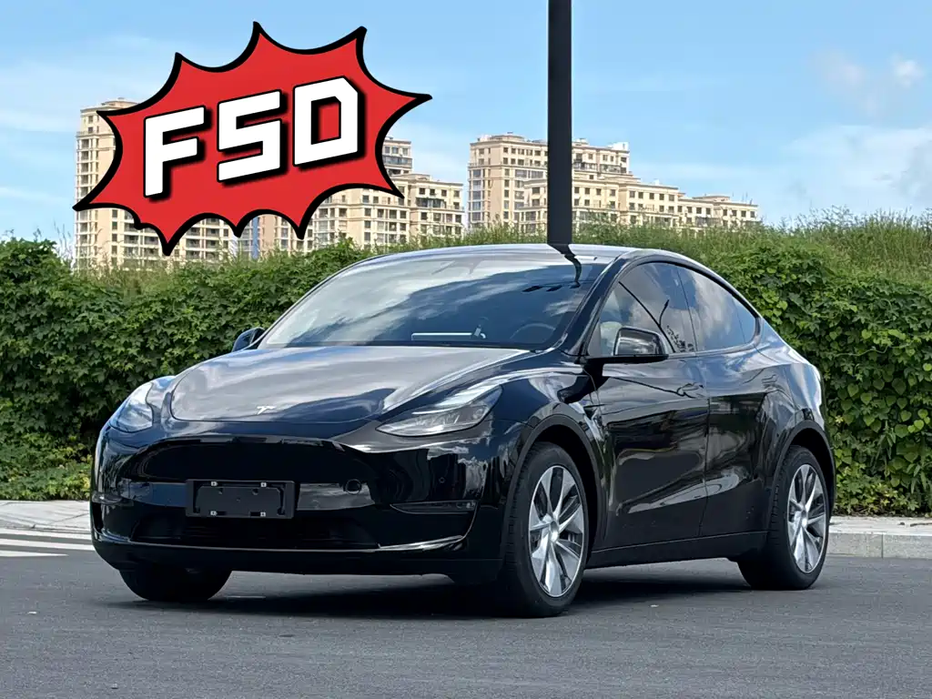 Tesla Model Y — миниатюра 2