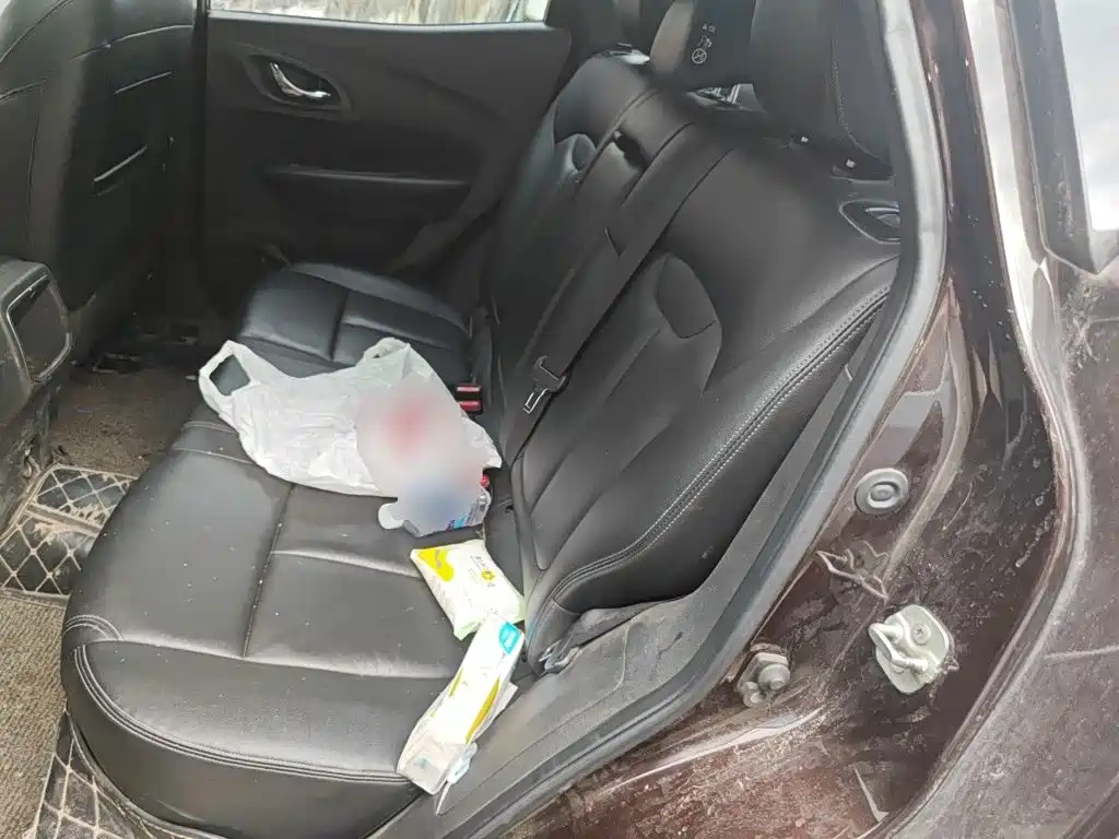 Renault Kadjar — миниатюра 13
