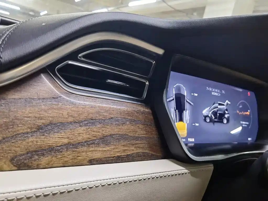 Tesla Model X — миниатюра 22