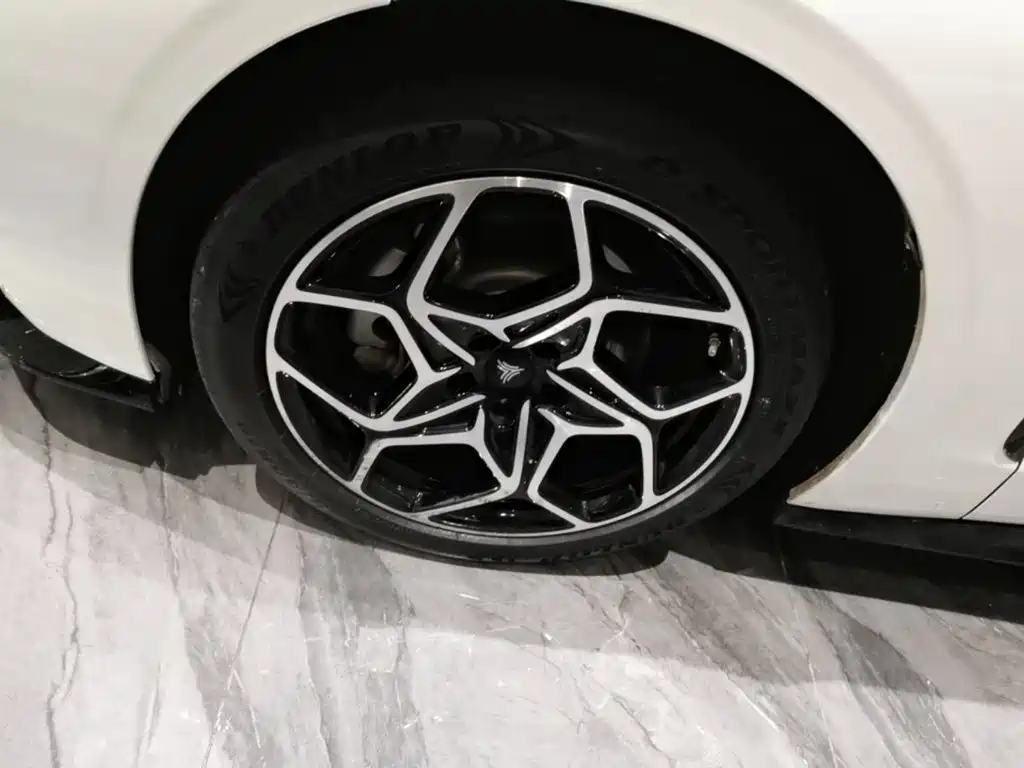 Neta Neta GT — миниатюра 25