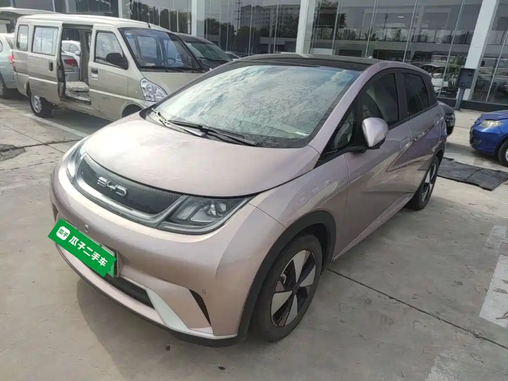 BYD Dolphin — миниатюра 2