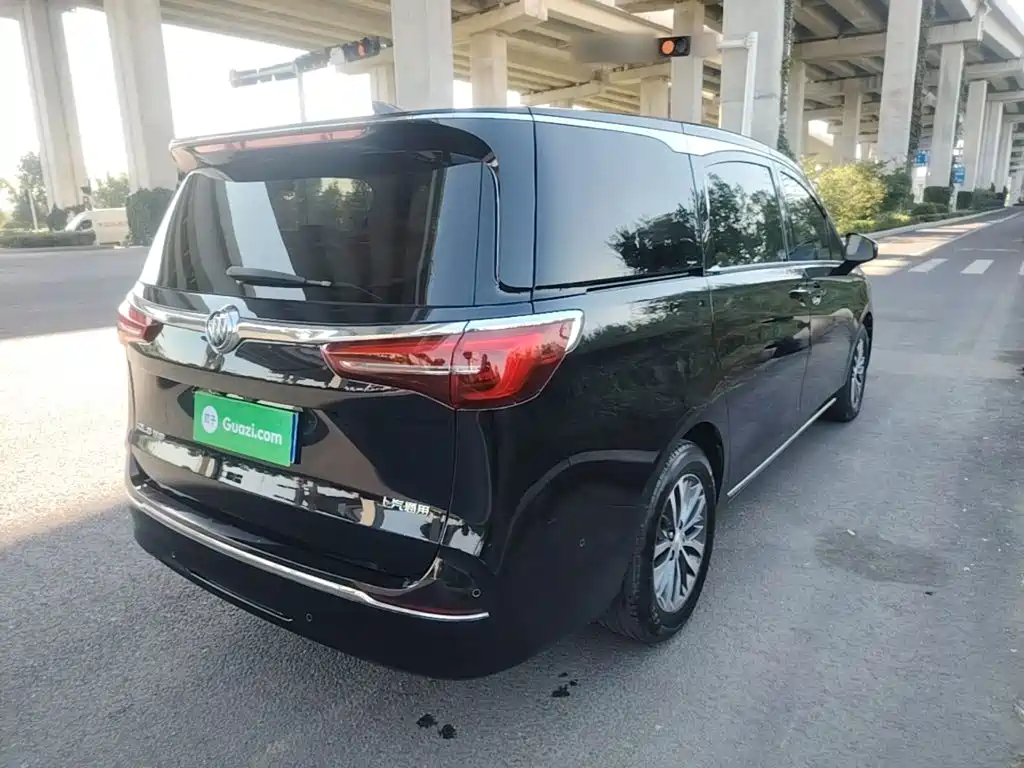 Buick GL8 — миниатюра 7