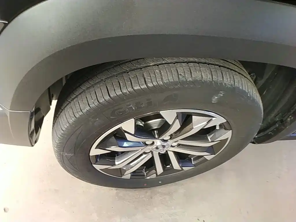 Haval Big Dog — миниатюра 23