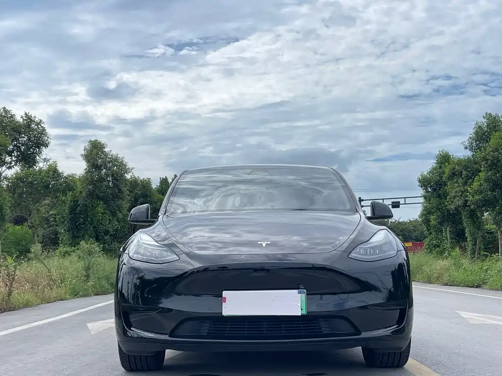 Tesla Model Y — миниатюра 2