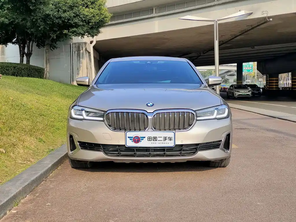 BMW 5 Series New Energy — миниатюра 2