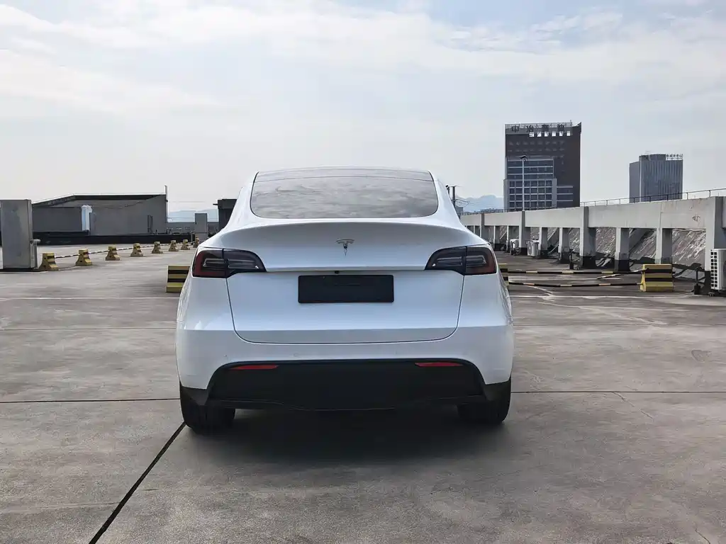 Tesla Model Y — миниатюра 6