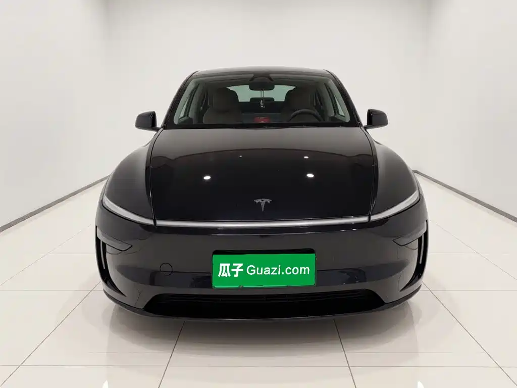 Tesla Model Y — миниатюра 2