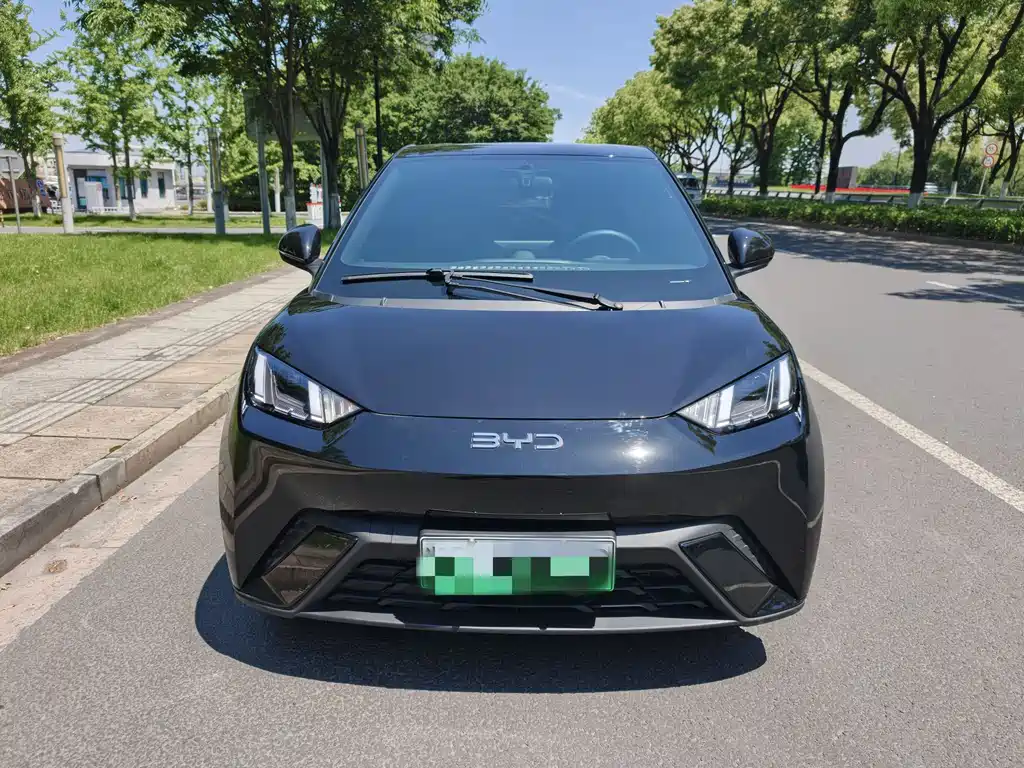 BYD Seagull 2025 305km Freedom