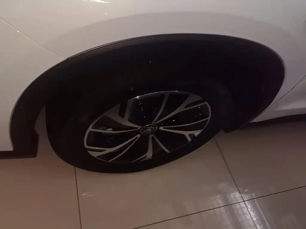 BYD Pro New Energy — миниатюра 23
