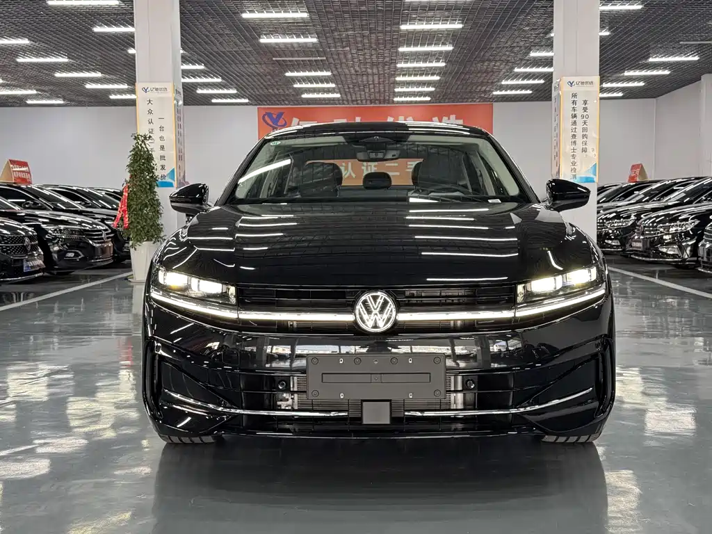 Volkswagen Magotan — миниатюра 2